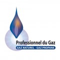 logo professionnels du gaz